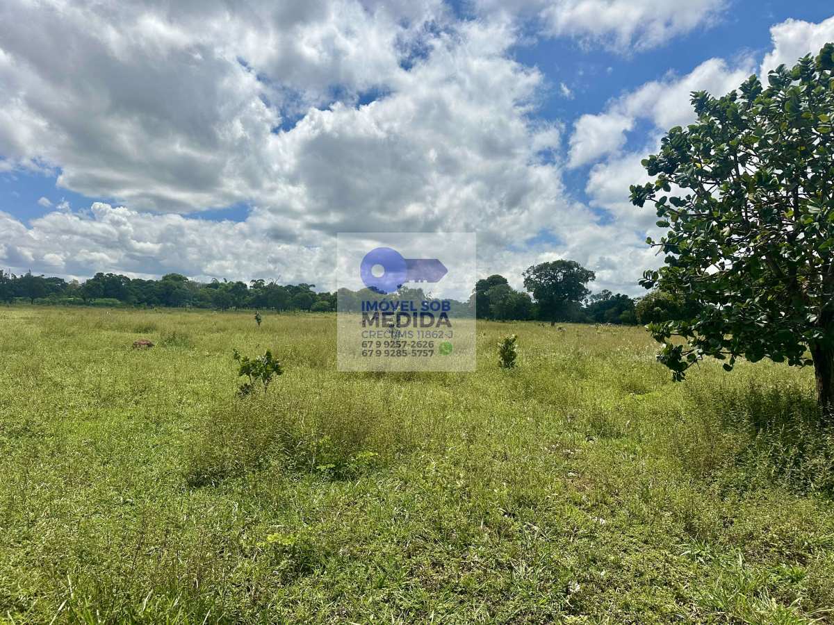 Chácara 1/2 Hectare - Pertinho de Campo Grande - Imóvel Sob Medida - MS / Rural Sob Medida - MS