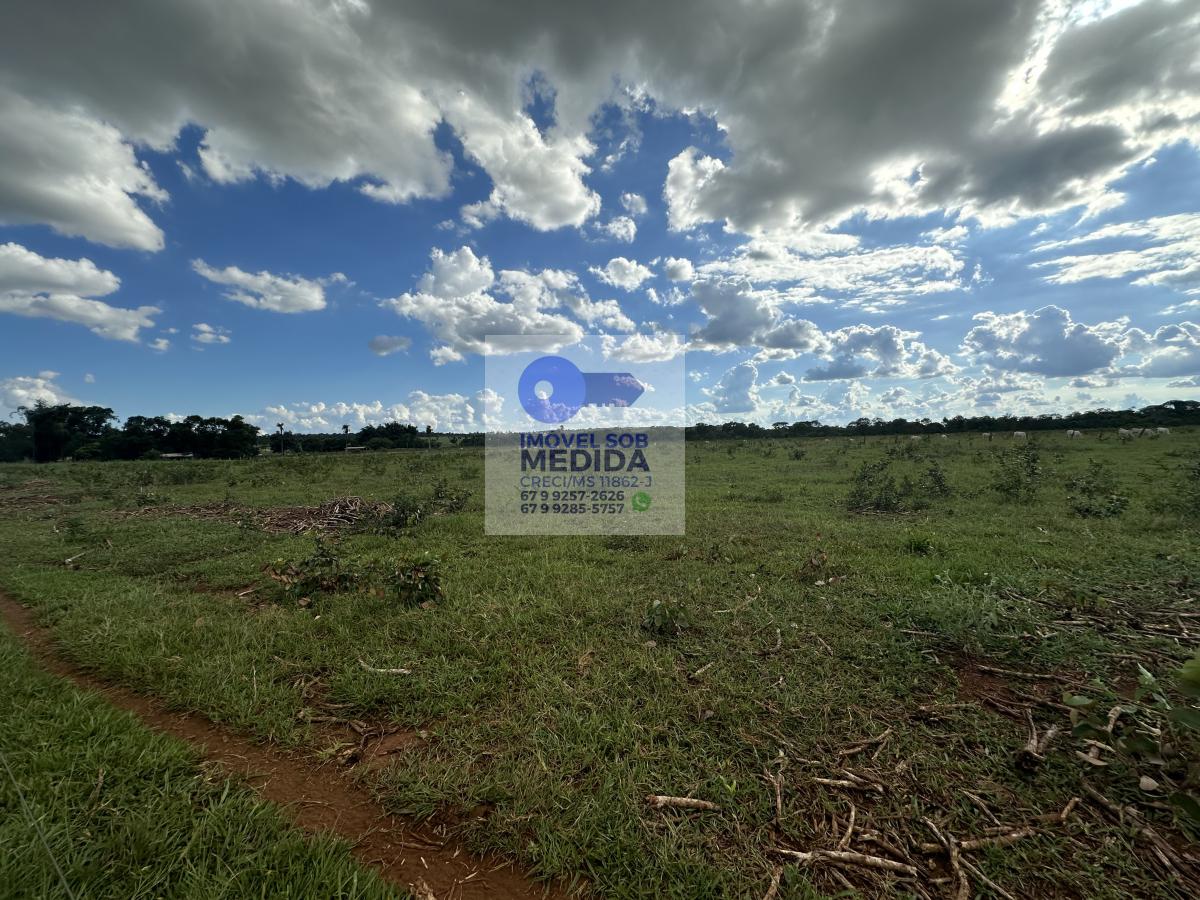 Chácara à venda - ,Rochedo