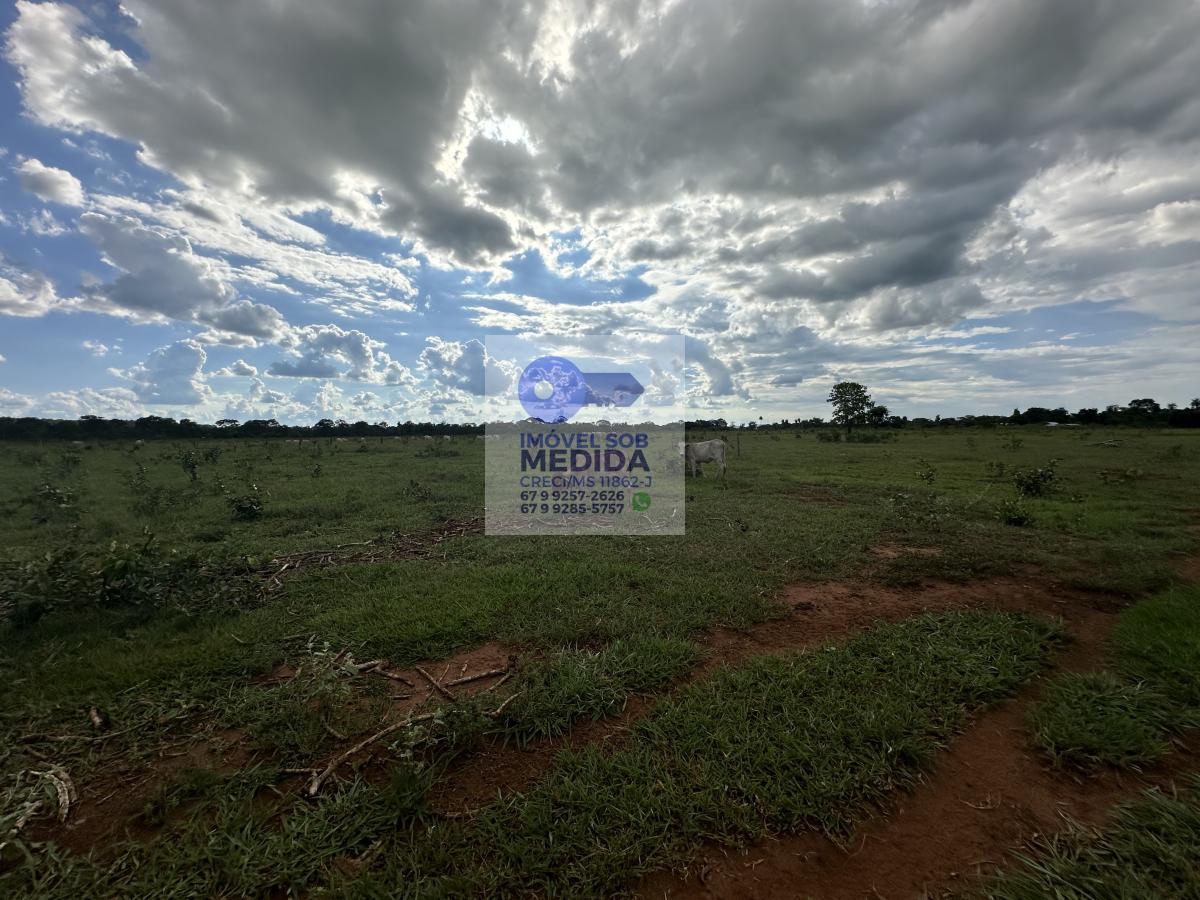 Chácara à venda - ,Rochedo