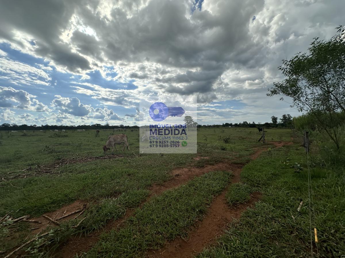  - Chácara 12,5 hectares Terra de Cultura