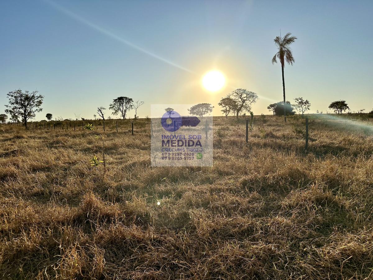 Chácara à venda - ,Jaraguari