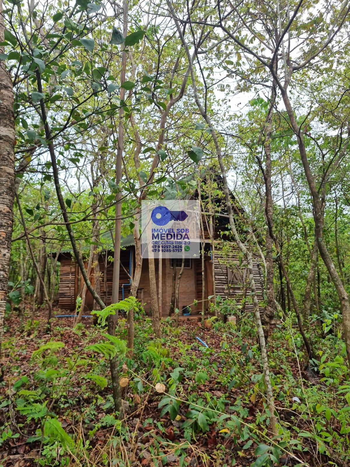 Chácara à venda - ,Jaraguari