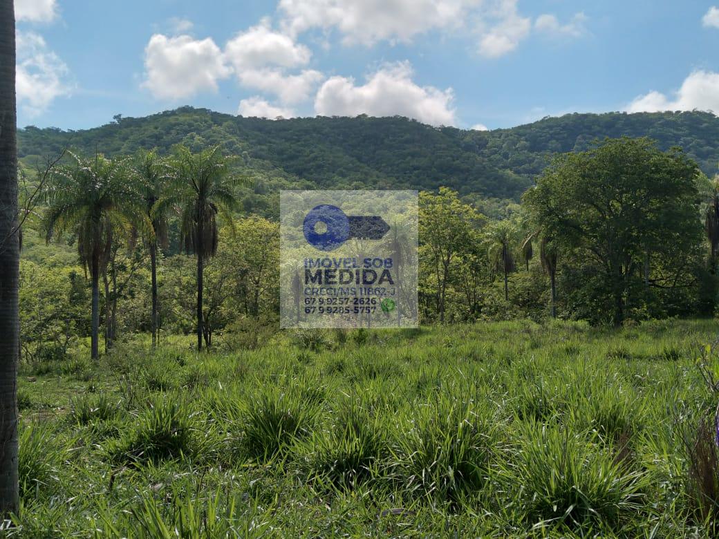  - Chácara 20 hectares - Beira do Asfalto - Córrego