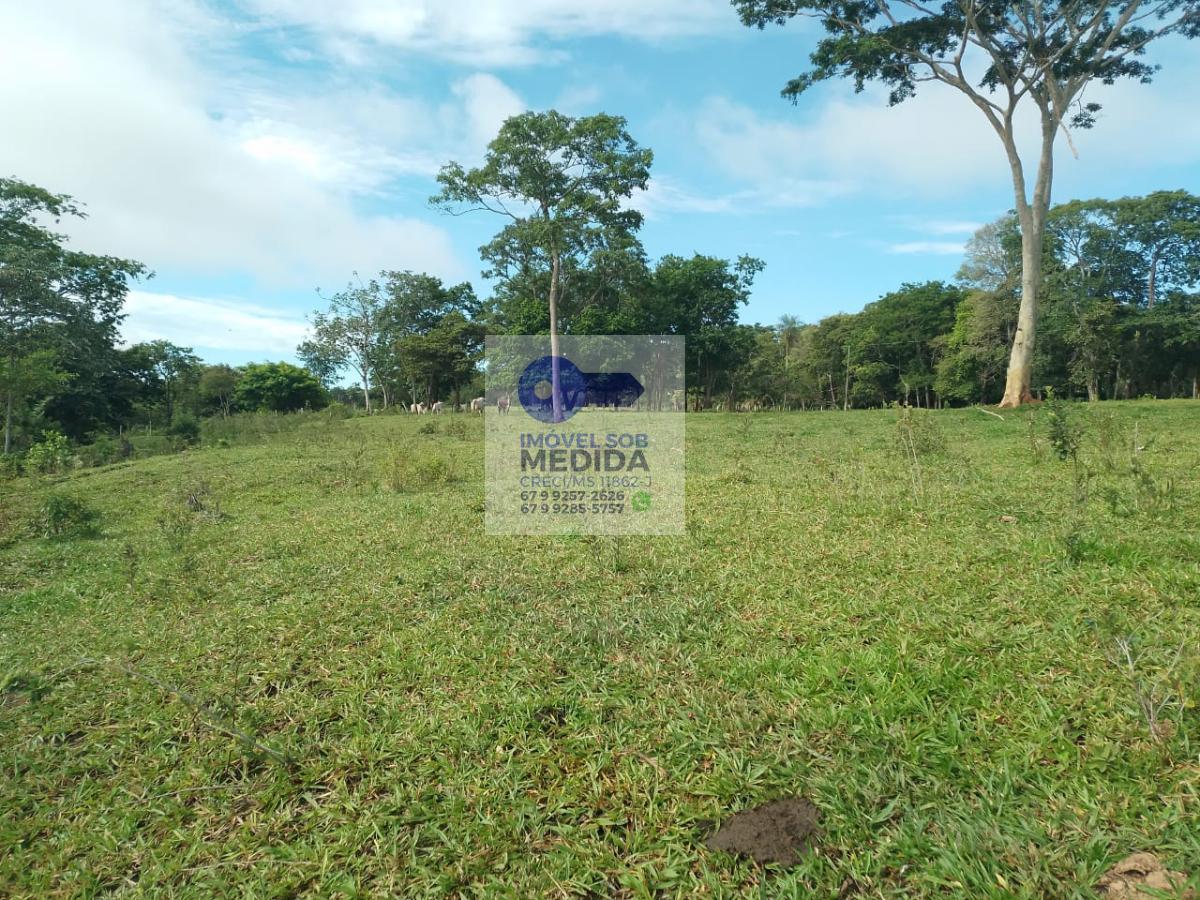 Chácara à venda - ,Bonito