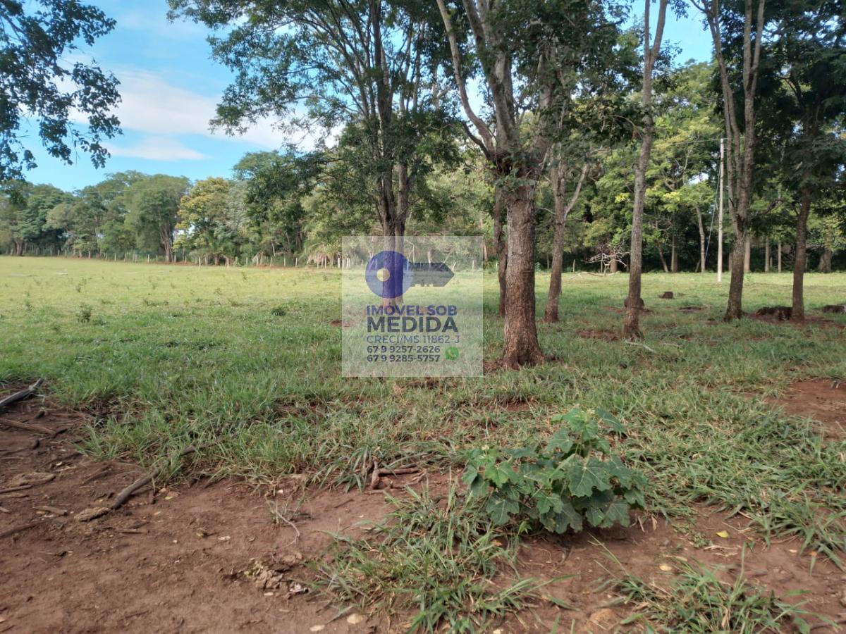 Chácara à venda - ,Bonito