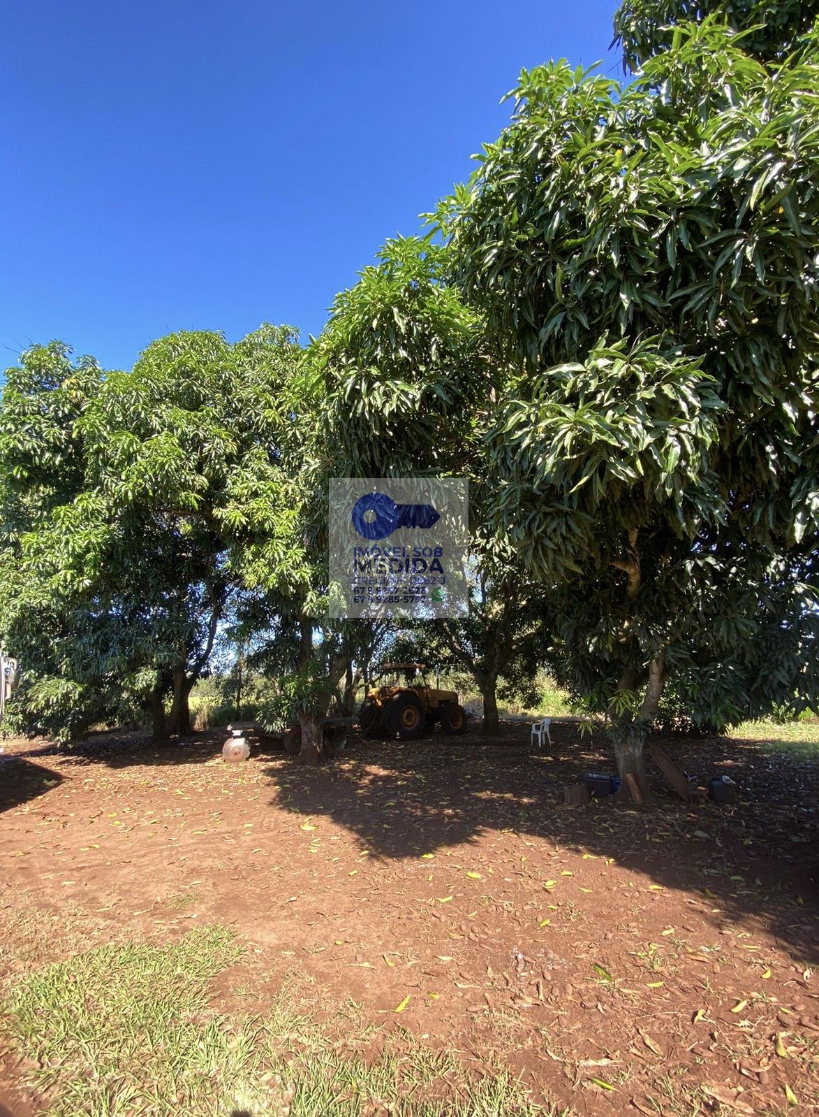 Chácara à venda - ,Terenos