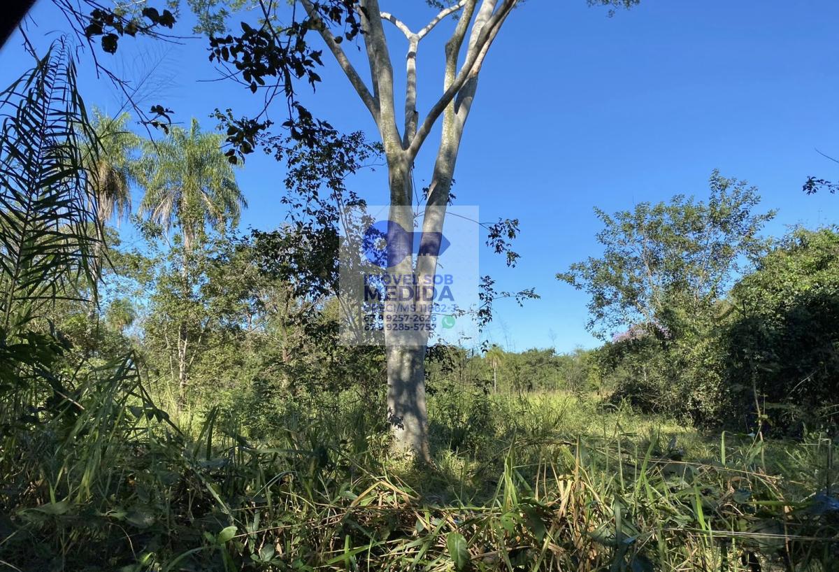 Chácara à venda - ,Terenos