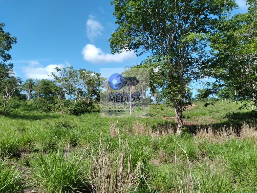  - Chácara 4 hectares Beira do Asfalto - córrego