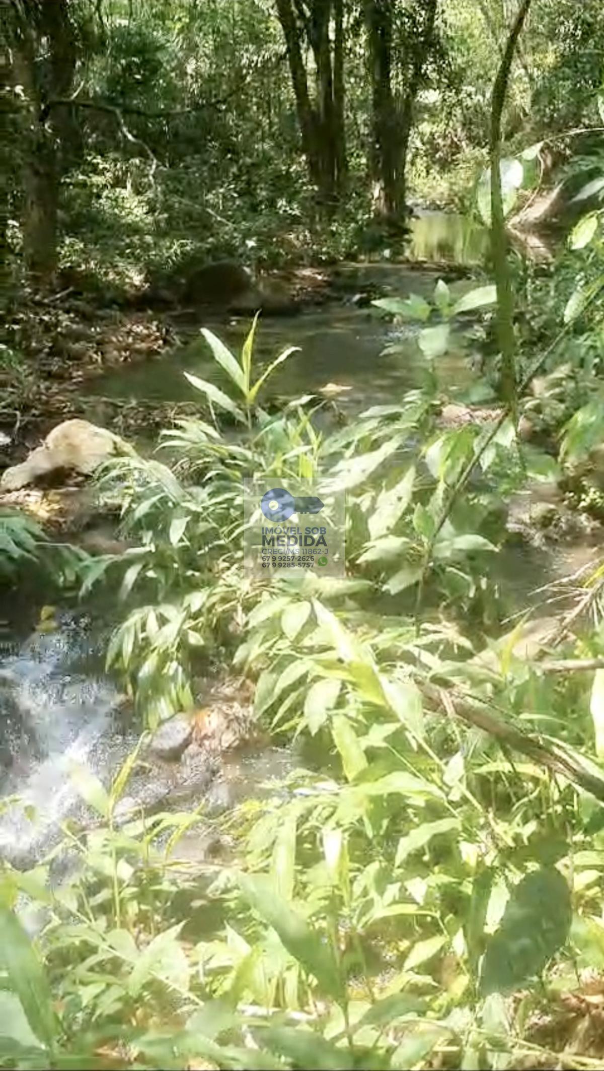 Chácara à venda - ,Jaraguari