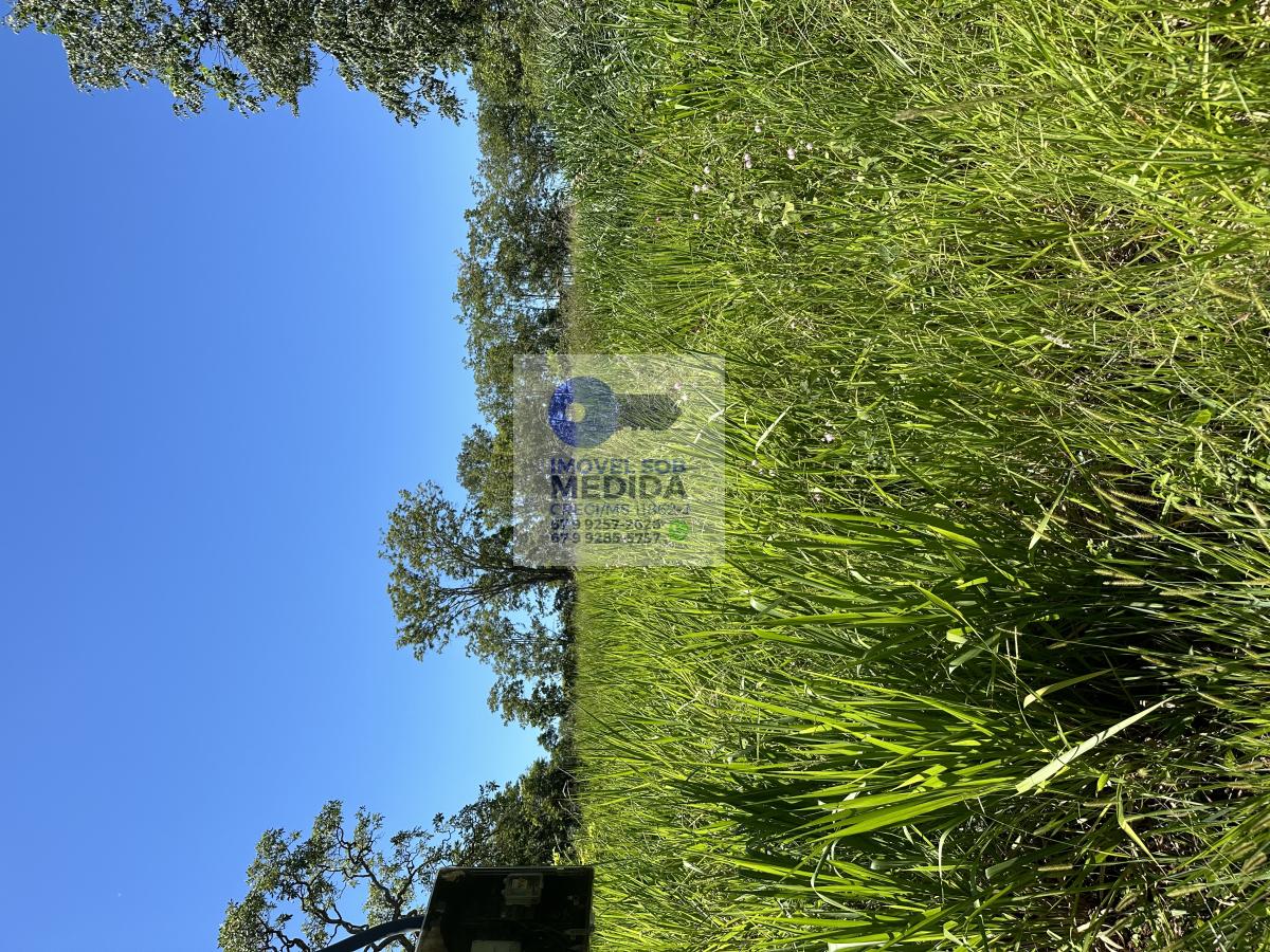  - Chácara 4 hectares Córrego Divisa