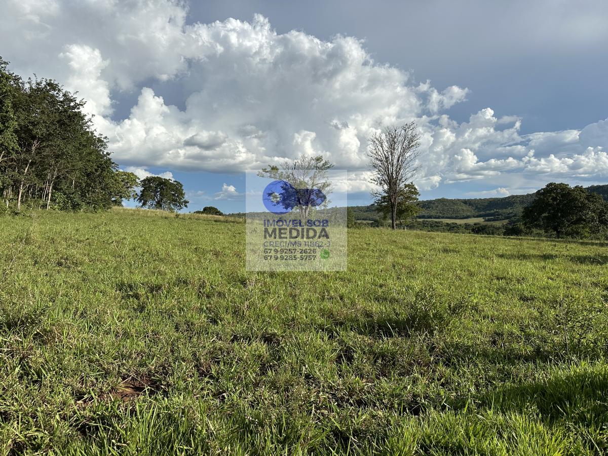 Chácara à venda - ,Bandeirantes