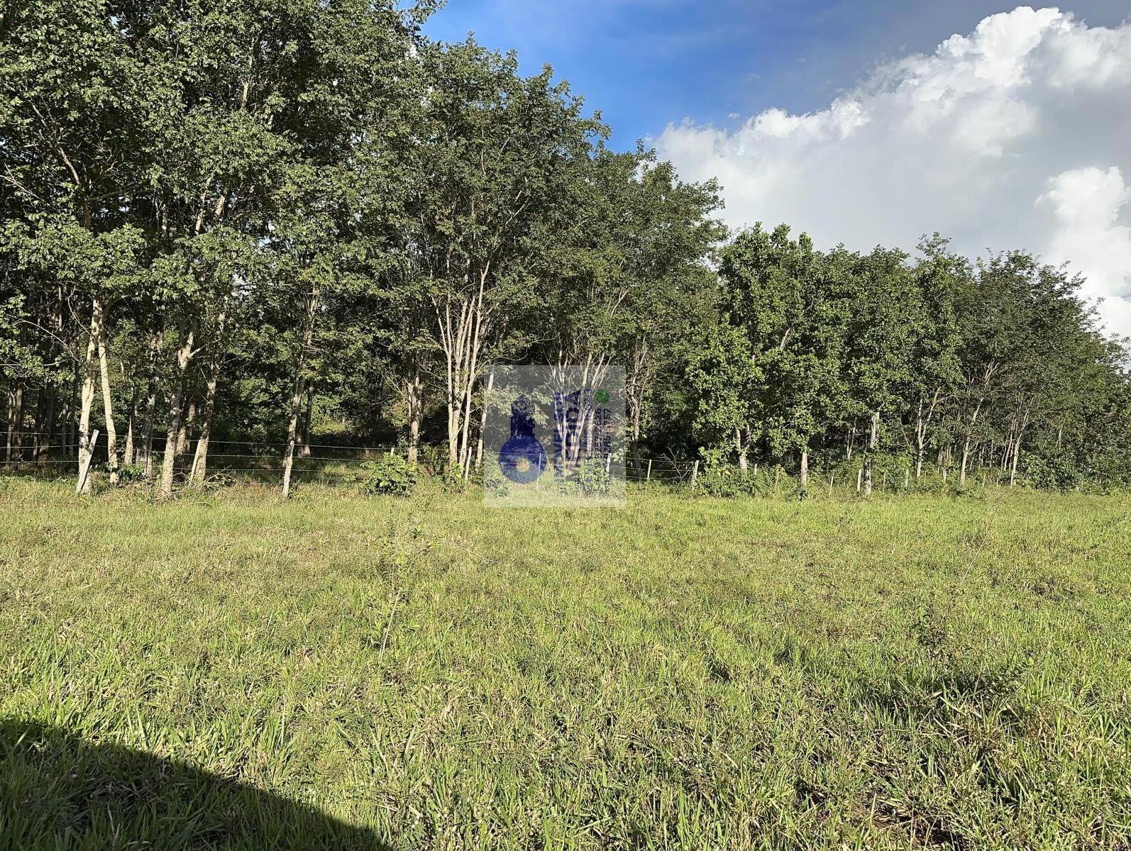 Chácara à venda - ,Bandeirantes