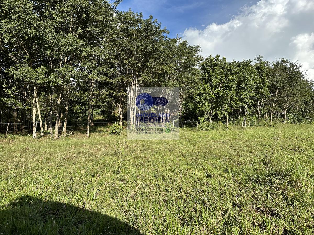  - Chácara 40 hectares Bandeirantes MS