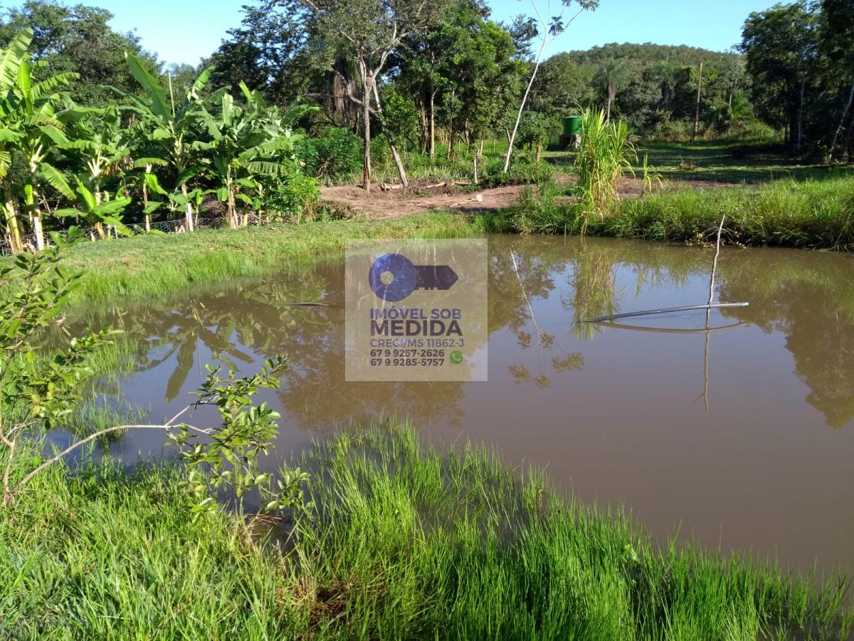 Chácara à venda - ,Palmeiras