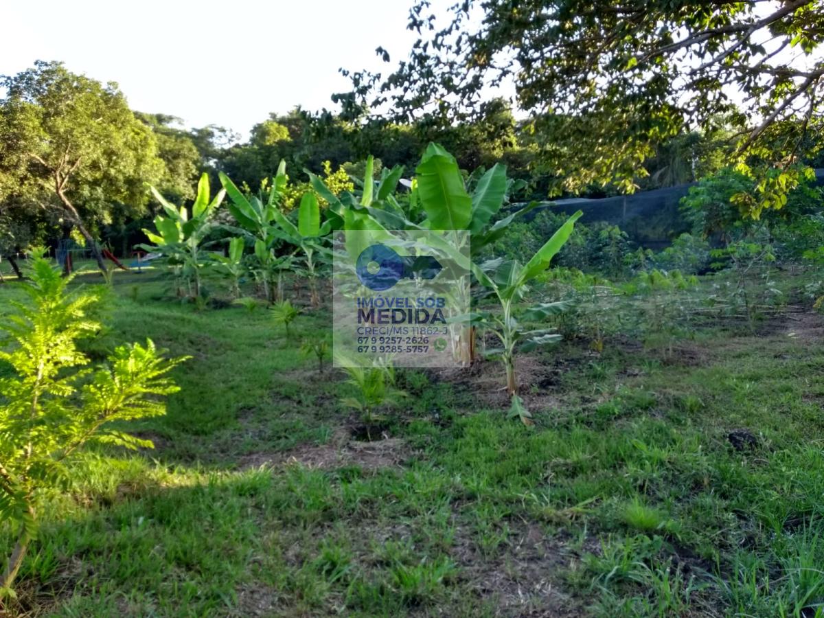  - Chácara 6 hectares Beira do Rio Aquidauana