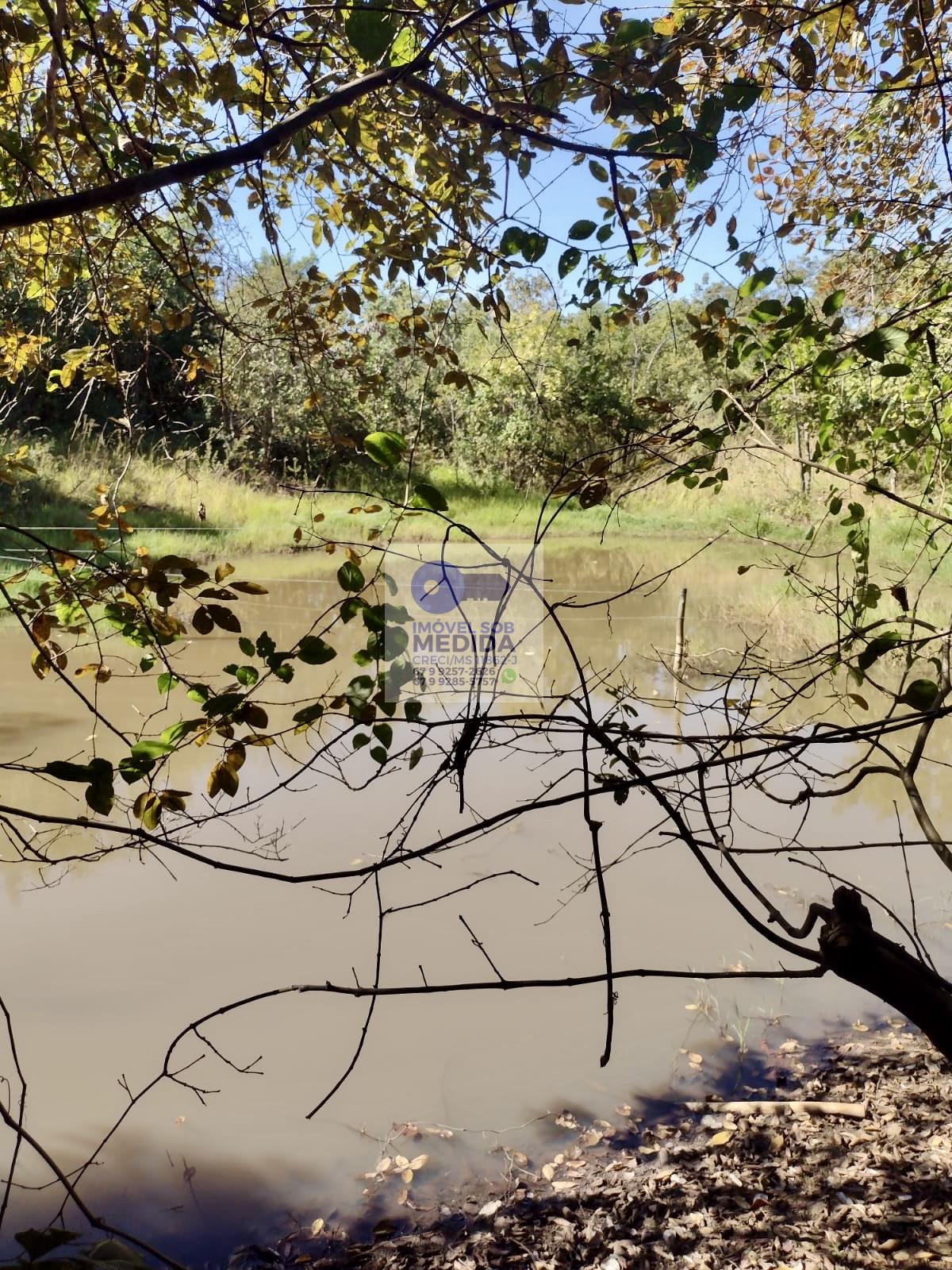 Chácara à venda - ,Rochedo