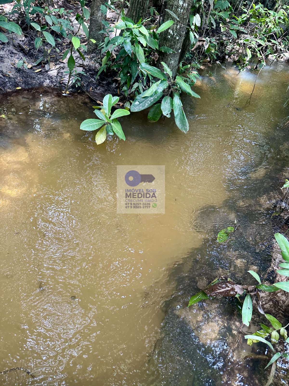 Chácara à venda - ,Jaraguari