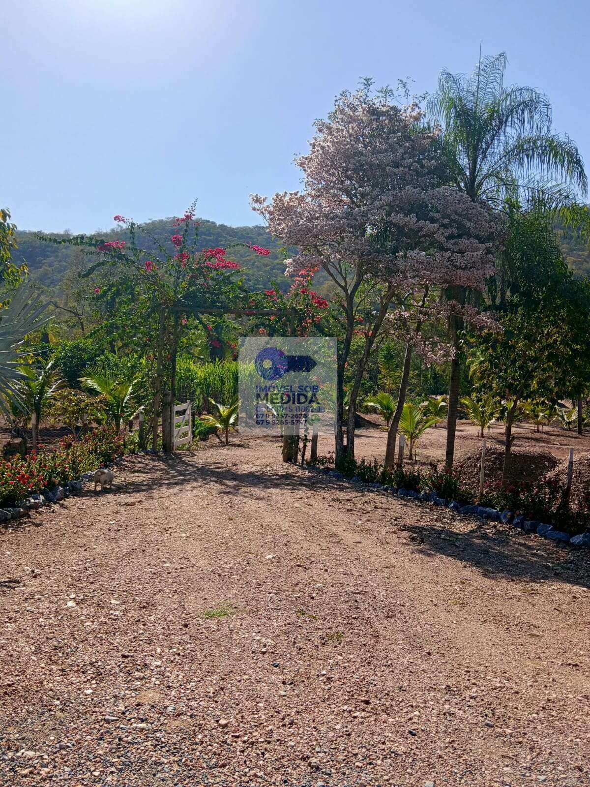 Chácara à venda com 1 quarto, 7ha - ,Bodoquena