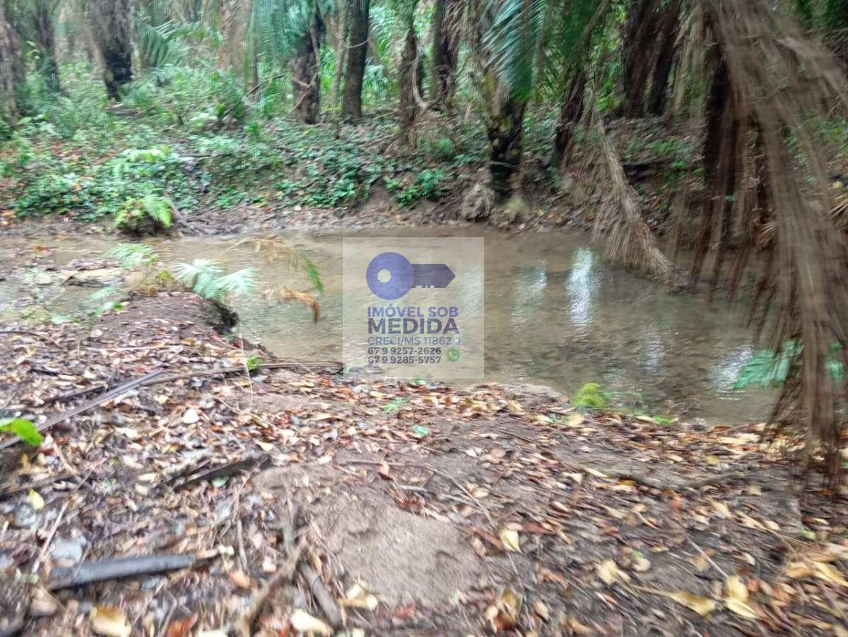 Chácara à venda, 20000m² - ,Bodoquena