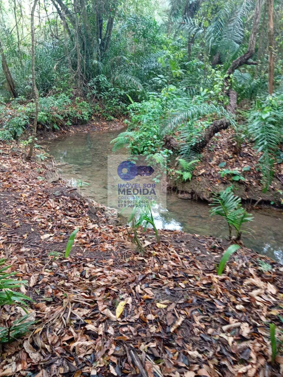 Chácara à venda, 20000m² - ,Bodoquena