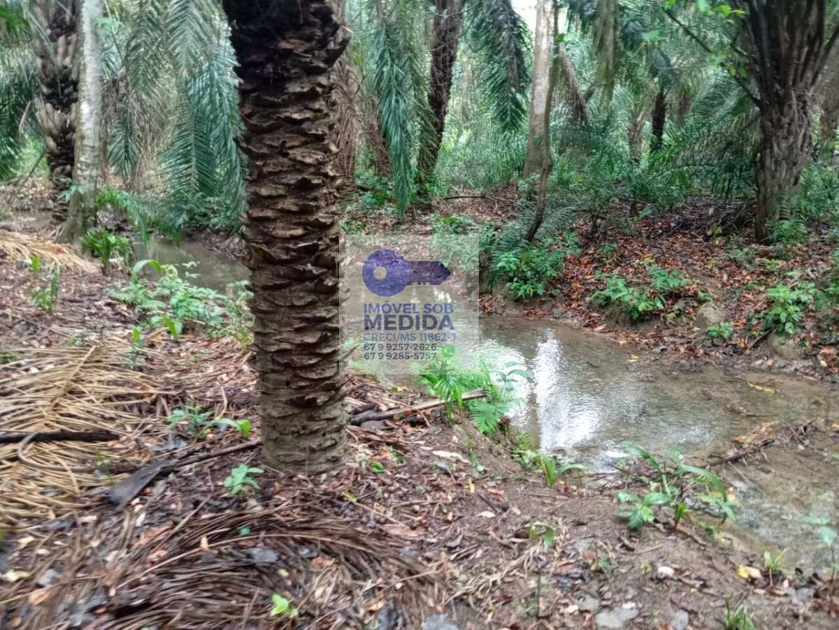 - Chácara 2 hectares em Bodoquena/MS – Rio Campina, 2 córregos, acesso asfaltado