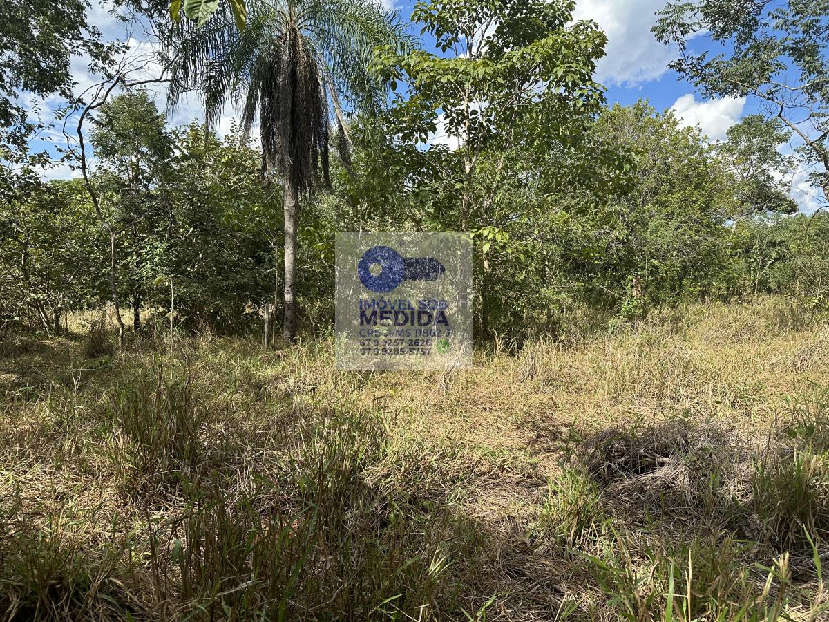 Chácara à venda - ,Rochedo