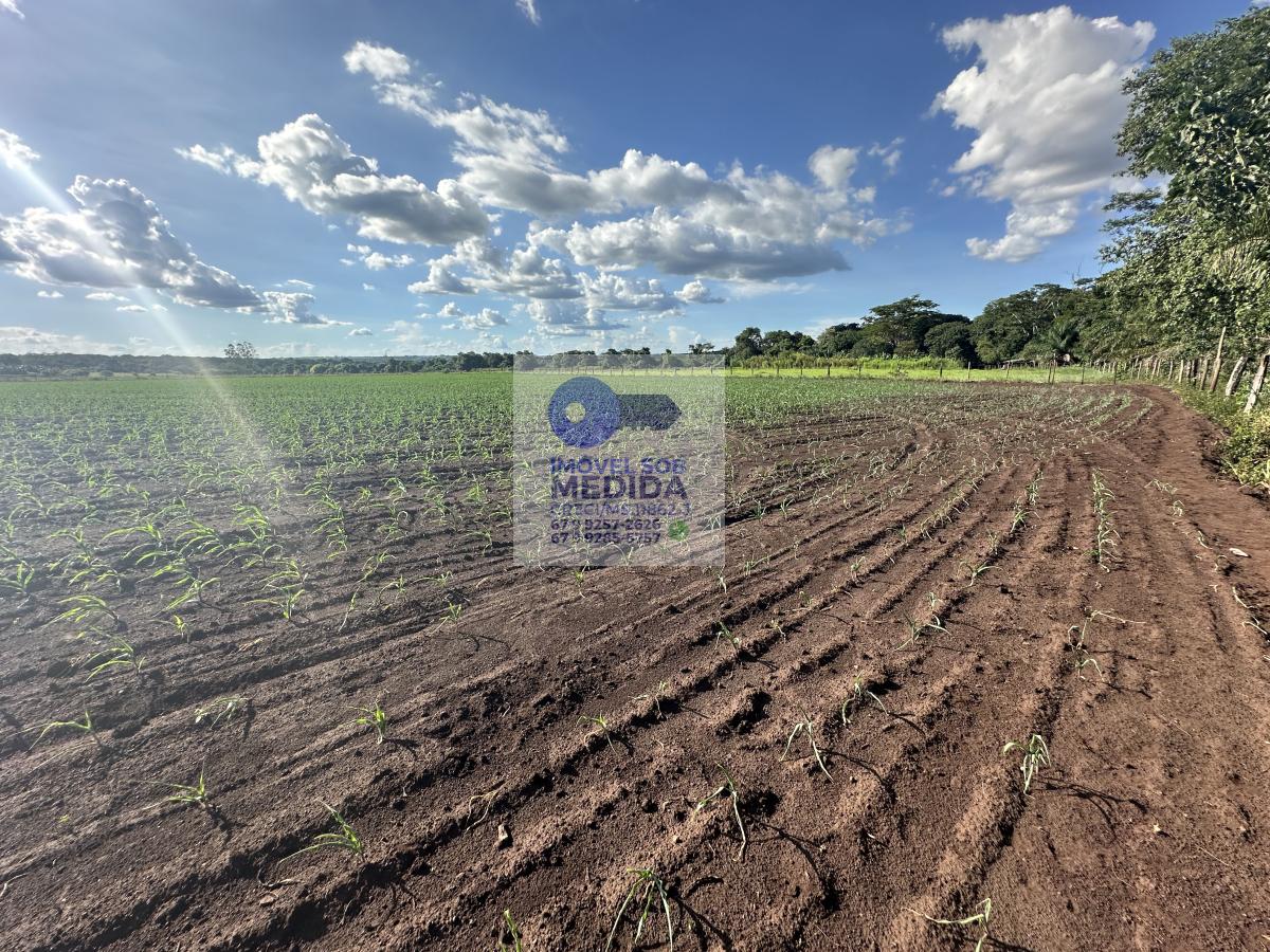 Chácara à venda - ,Terenos