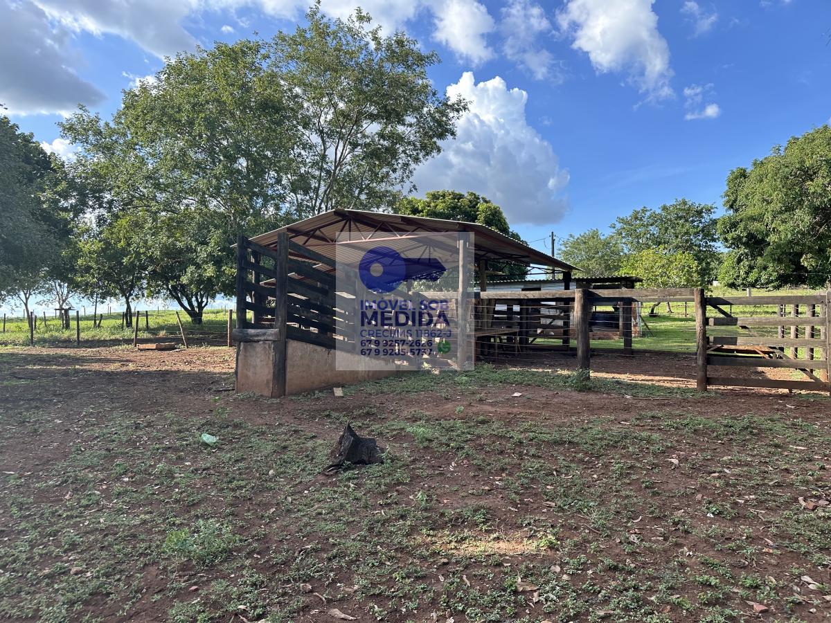 Chácara à venda - ,Terenos