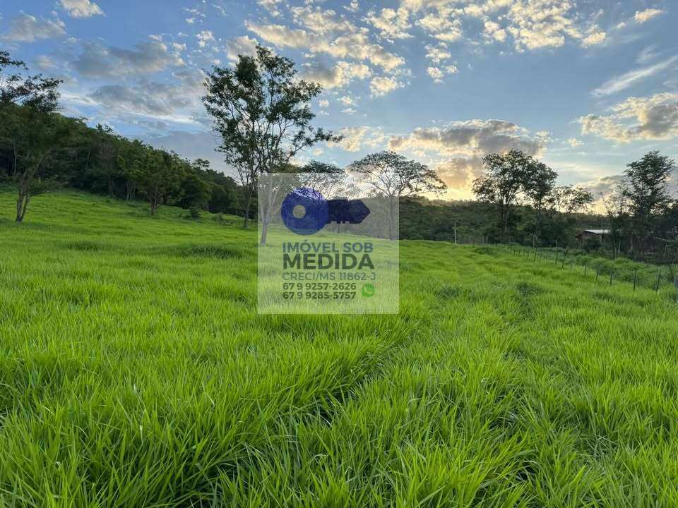 Chácara à venda - ,Jaraguari