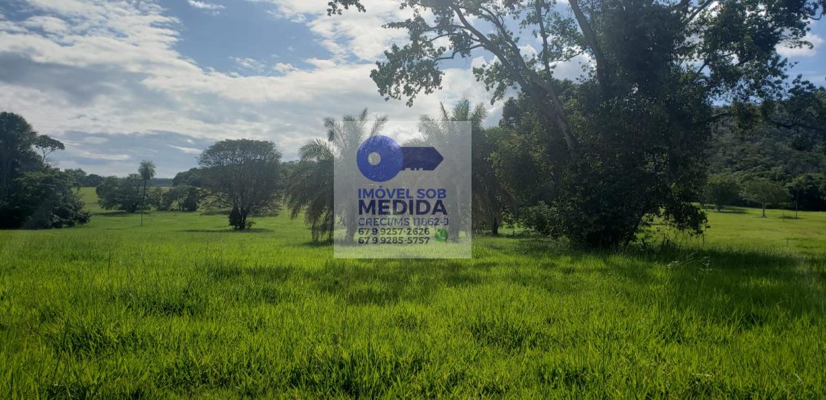 Fazenda à venda - ,Rio Verde de Mato Grosso