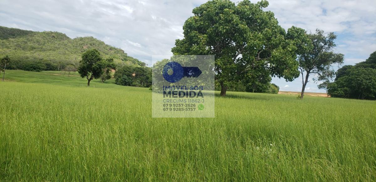  - Fazenda 1000 ha Rio Verde