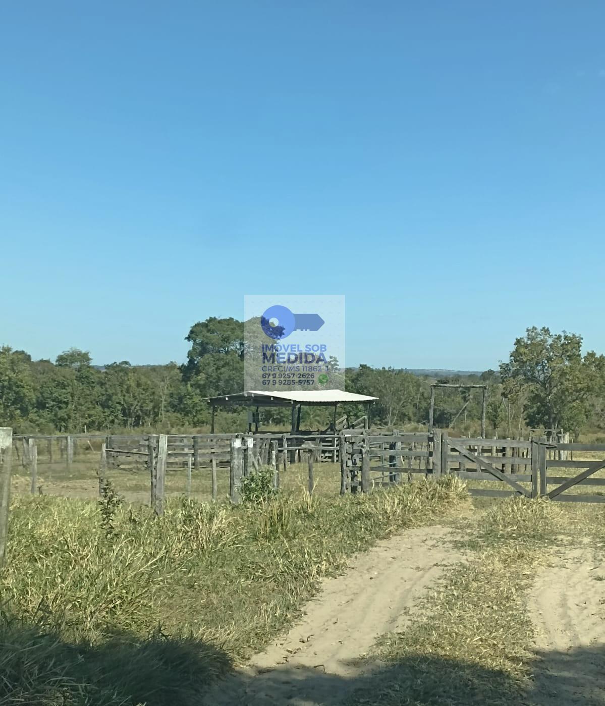 Fazenda à venda - ,Camapuã