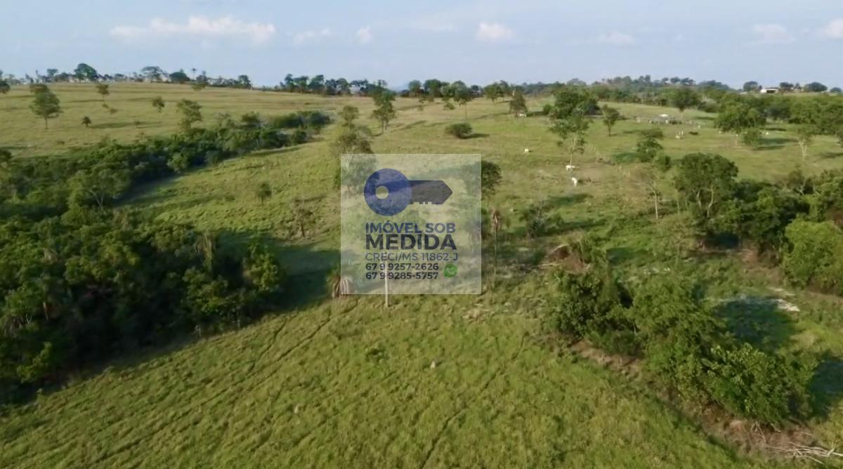 Fazenda à venda - ,Camapuã