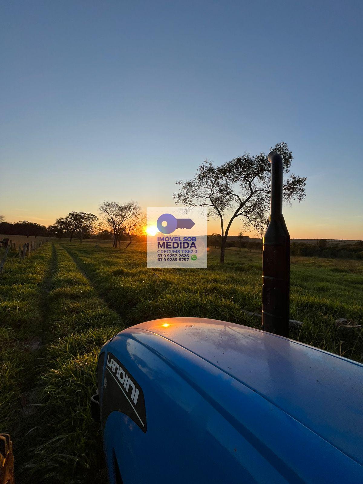 Fazenda à venda - ,Rochedo