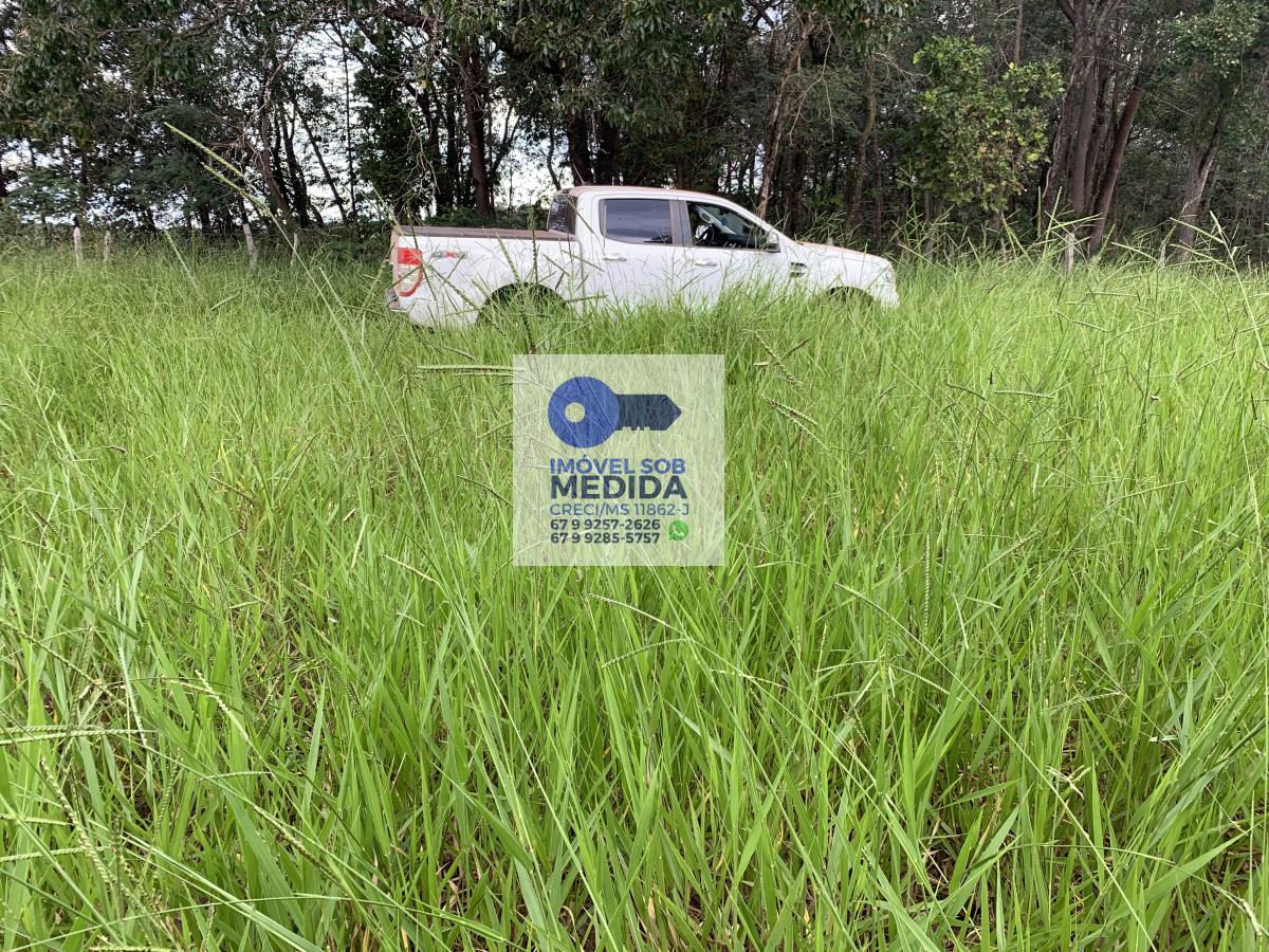  - Fazenda 110 hectares  ROCHEDO MS