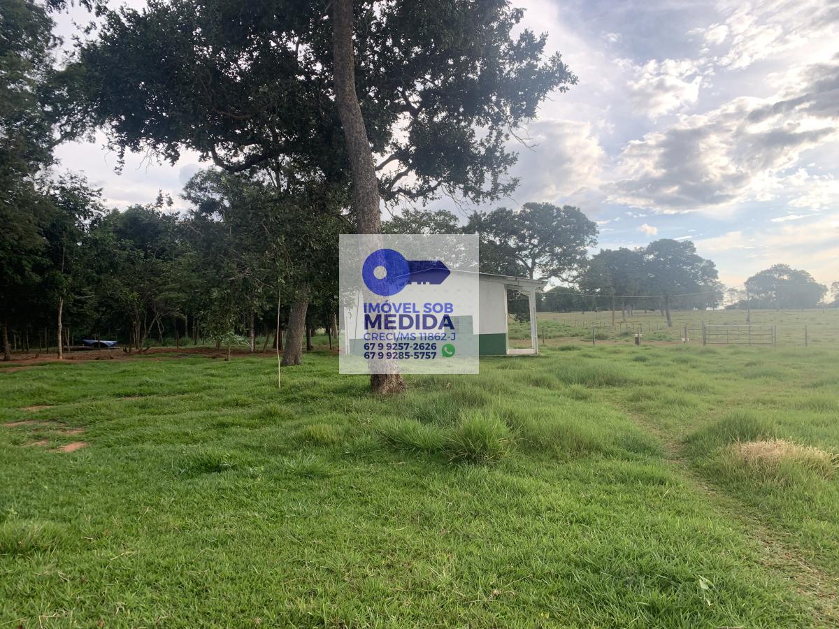 Fazenda à venda - ,Rochedo