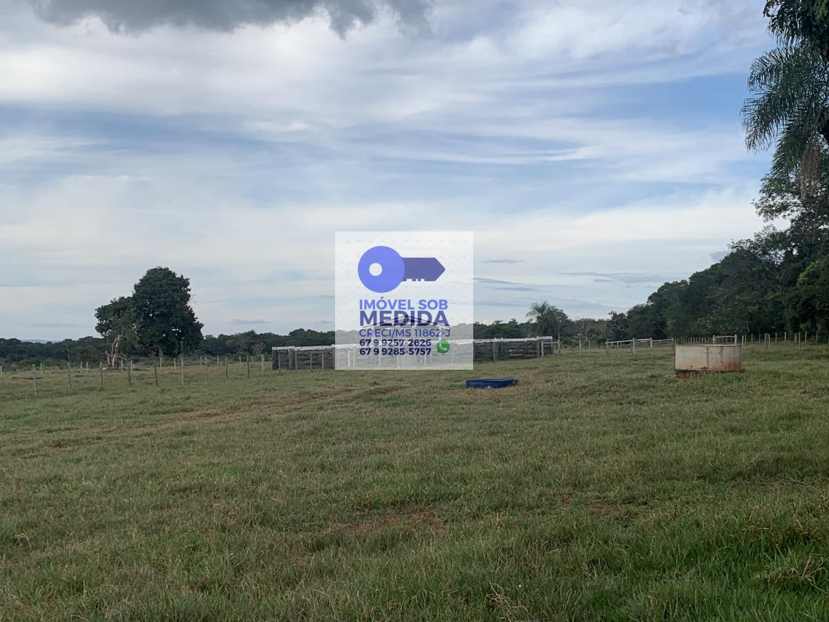  - Fazenda 125 hectares Dupla Aptidão Rochedo