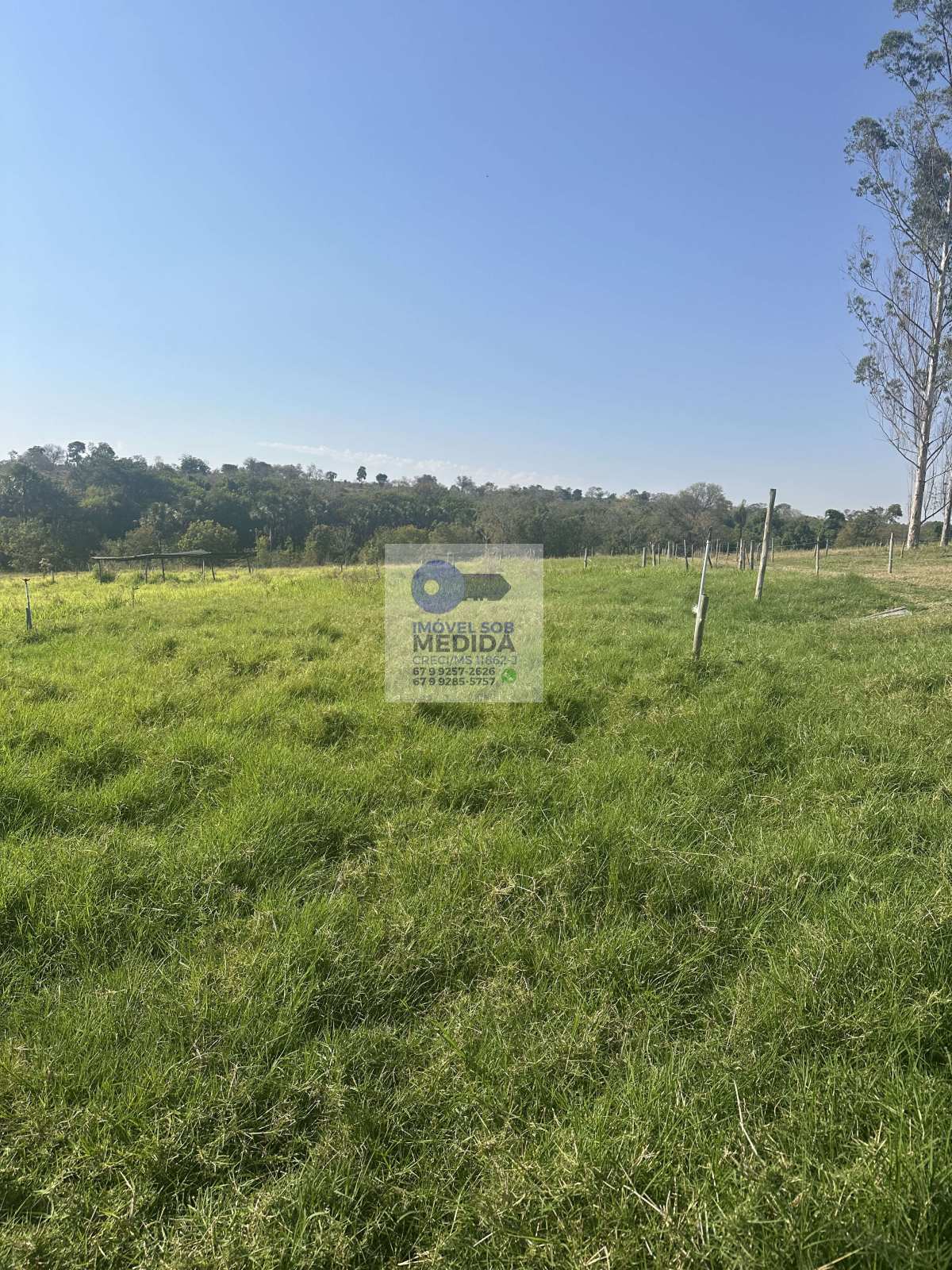  - FAZENDA 132 HA CAMAPUÃ OPORTUNIDADE ÚNICA - EXCLUSIVIDADE