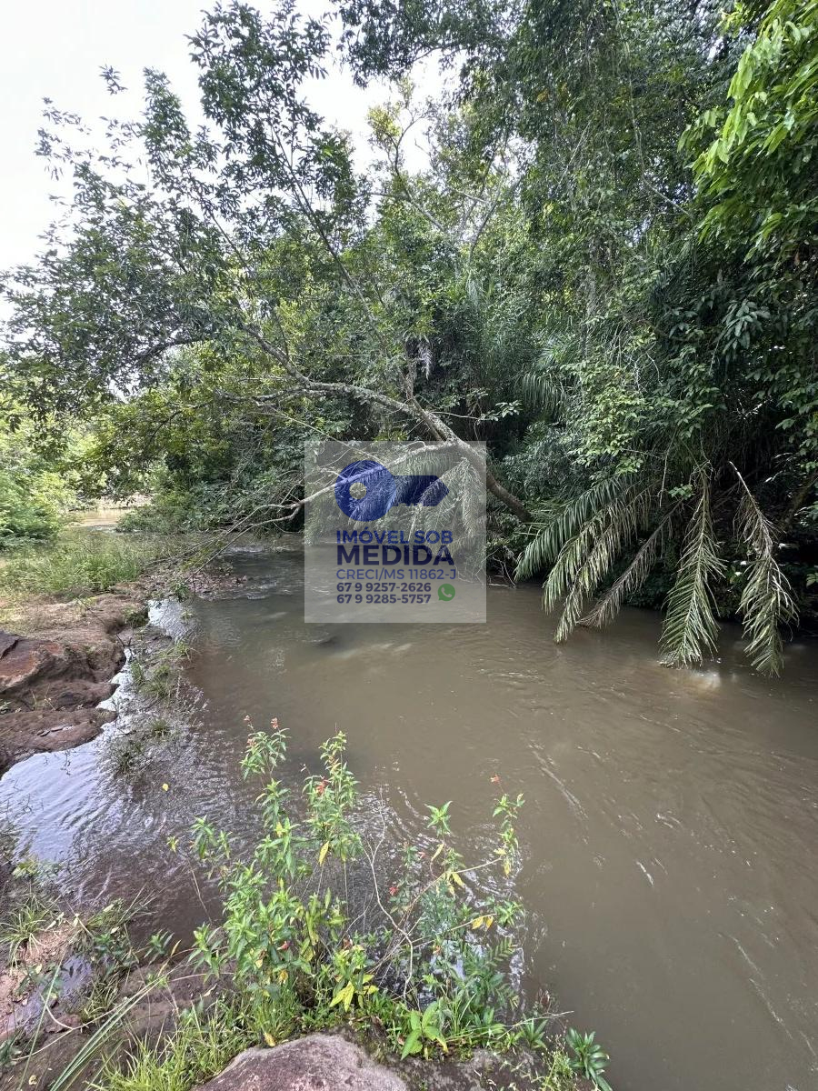  - Fazenda 1350 hectares Dupla Aptidão - DOIS IRMÃOS DO BURITI MS