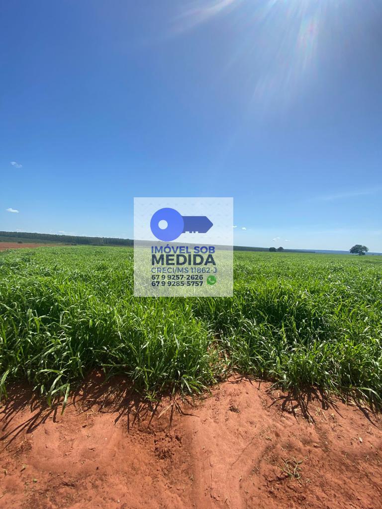 Fazenda à venda - ,Dois Irmãos do Buriti