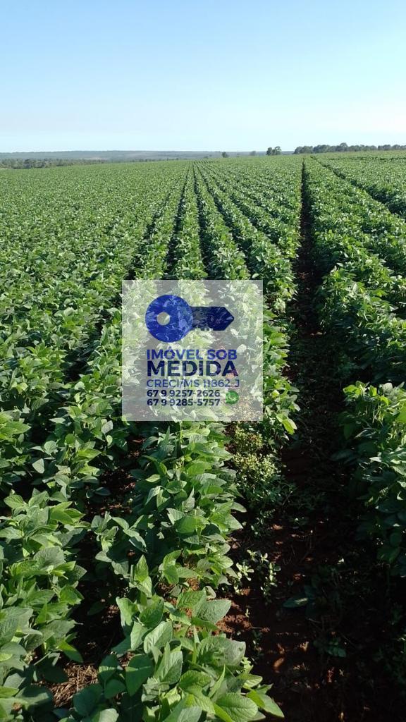 Fazenda à venda - ,Dois Irmãos do Buriti