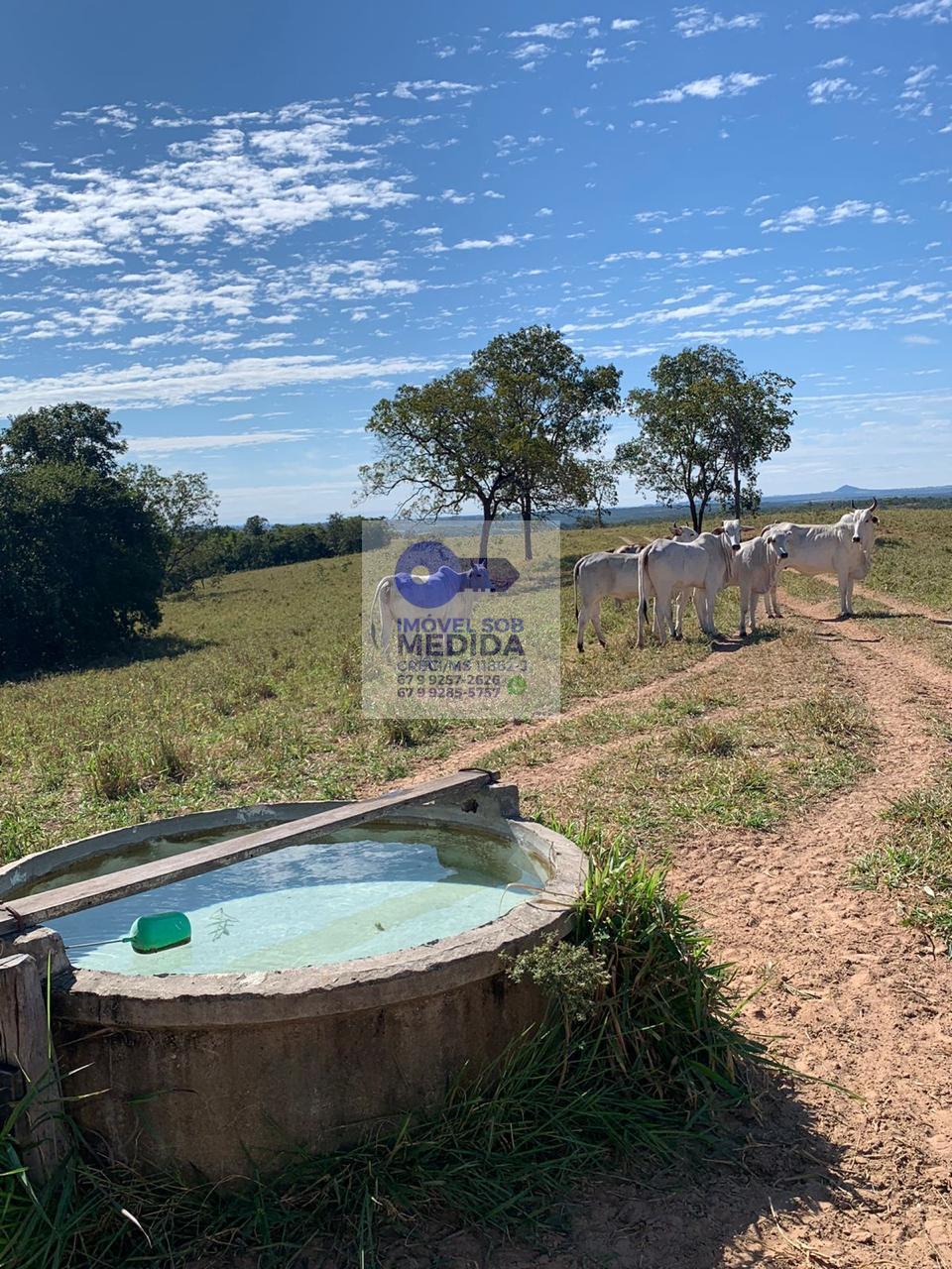 Fazenda à venda - ,Camapuã