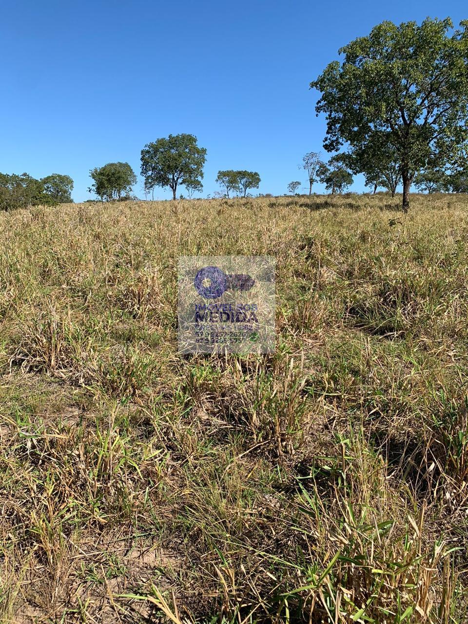  - Fazenda 138 hectares Camapuã MS