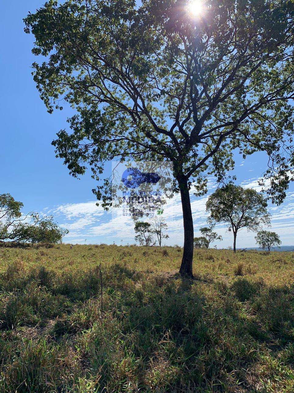 Fazenda à venda - ,Camapuã