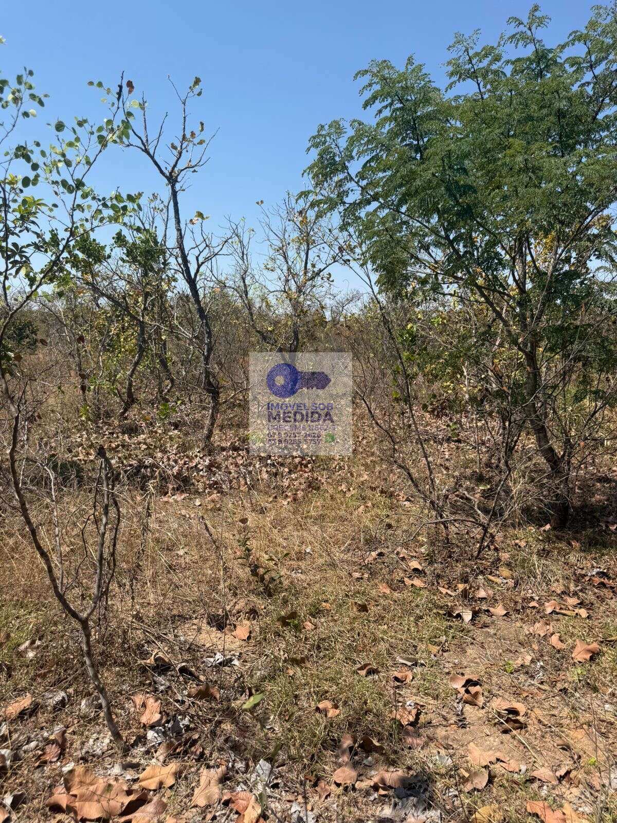 Fazenda à venda - ,Camapuã