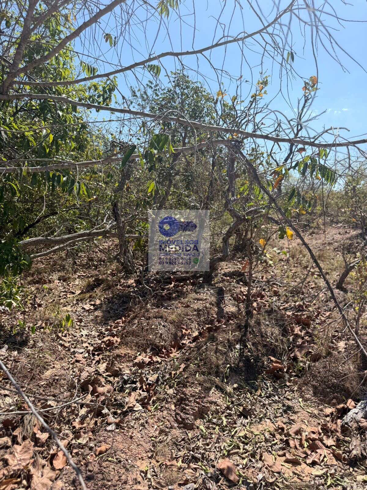 Fazenda à venda - ,Camapuã