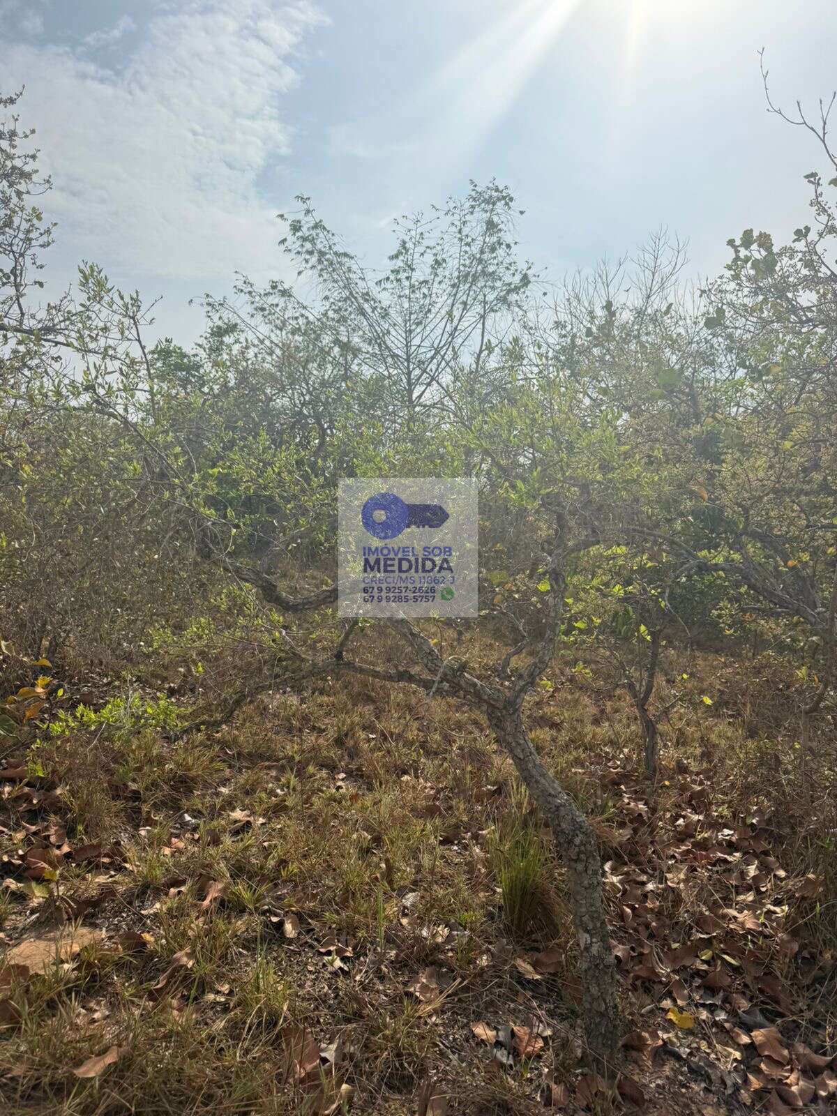  - Fazenda 142 hectares Camapuã MS