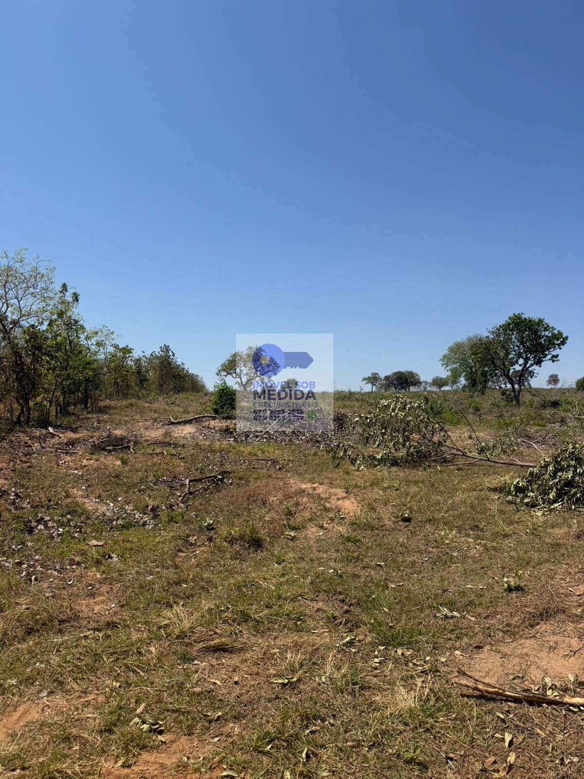 Fazenda à venda - ,Camapuã