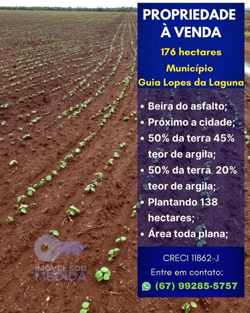 Fazenda à venda - ,Guia Lopes da Laguna