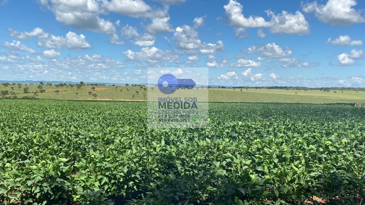 Fazenda à venda - ,Coronel Sapucaia